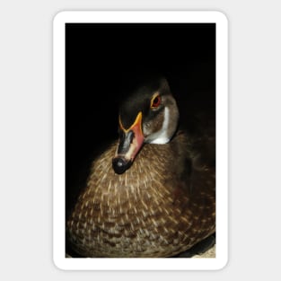 black duck pattern Sticker